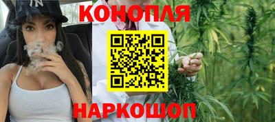 крисы Жуковский