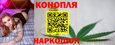 Альфа ПВП Заволжье