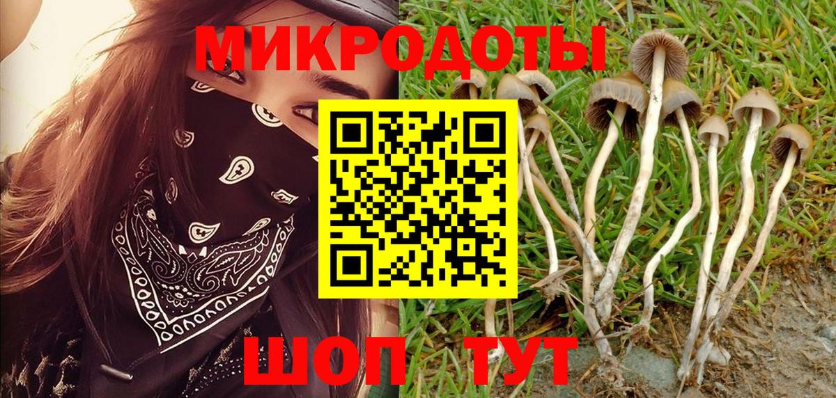 магазин продажи наркотиков  Галлюциногенные грибы Psilocybine cubensis  Вход с VPN  Гусь-Хрустальный 